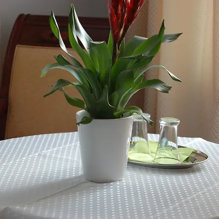 Ratskeller & Restaurant Lindow